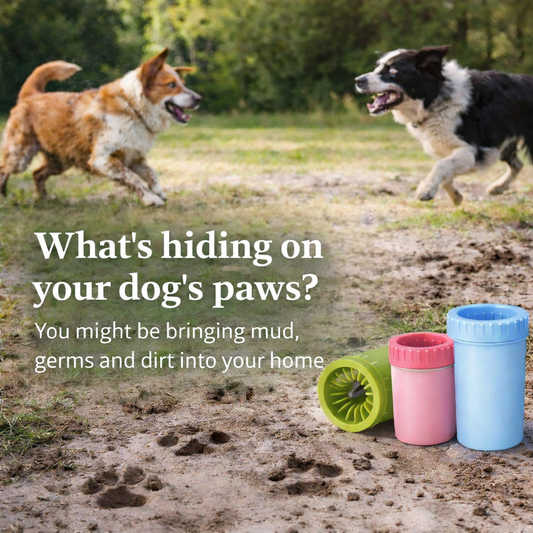 Portable Dog Paw Cleaner Cup