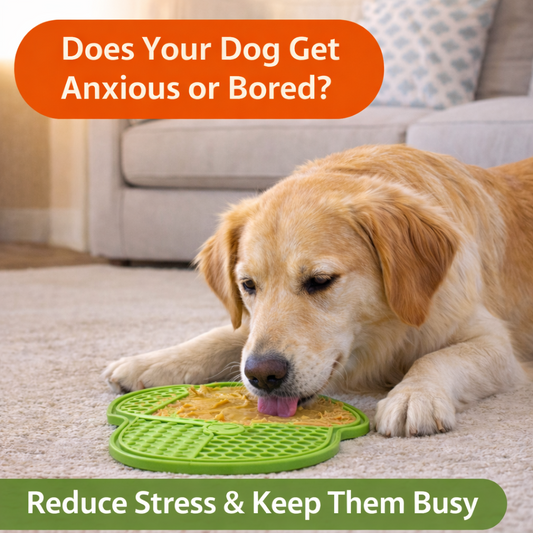 Lick Mat – Reduce Anxiety & Slow Feeding for Dogs & Cats
