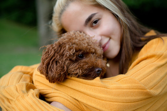 A Happy Pet Means a Happy Famiily