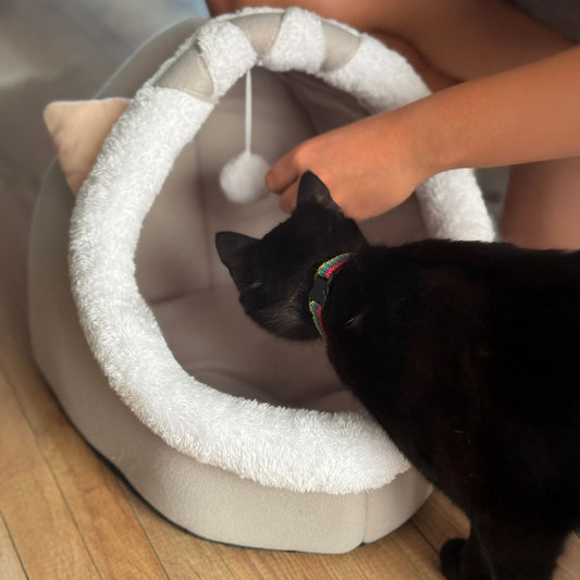 Cat house with a pillow and a toy, a soft sleeping place