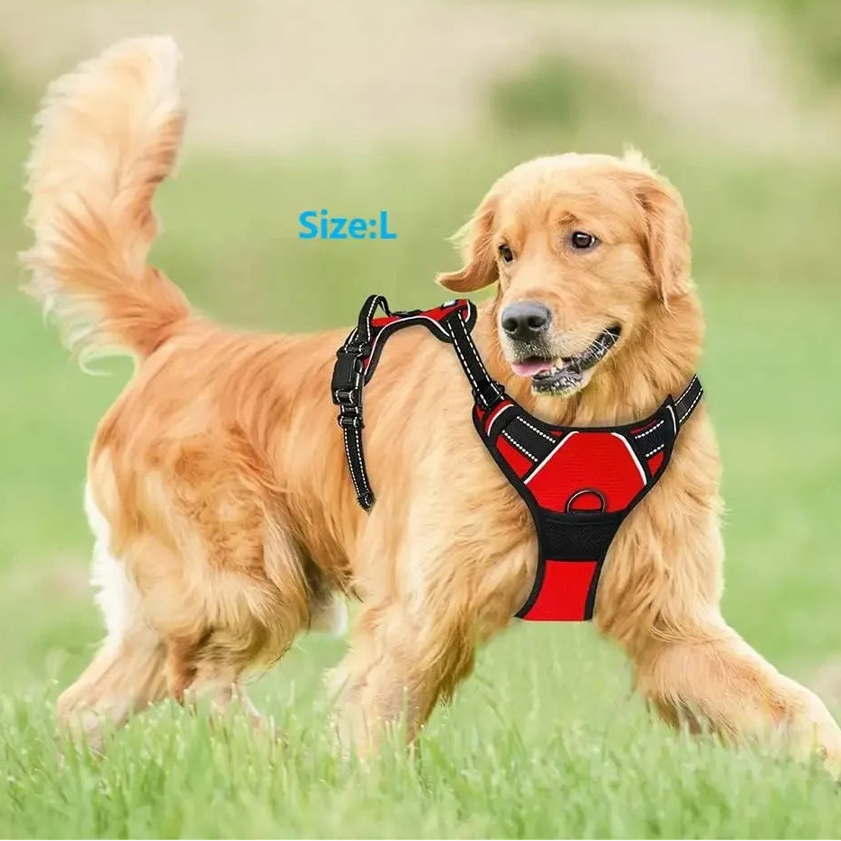 Шлейка для собак - регульована та зручна