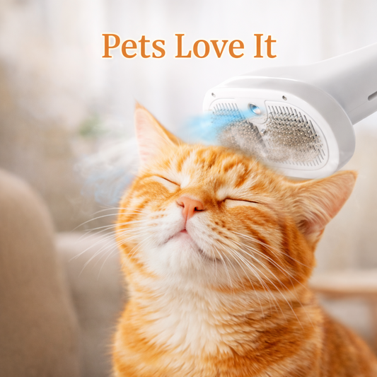 Steam Pet Brush – Remove Shedding & Calm Your Pet