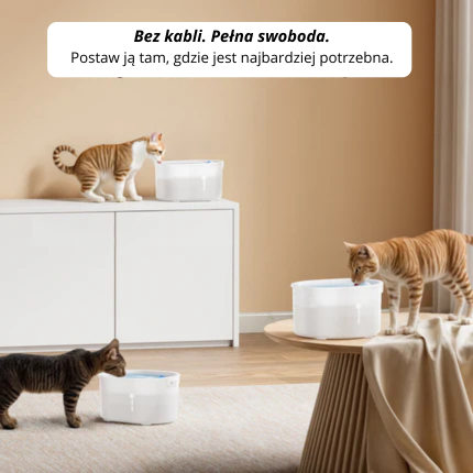 Inteligentna fontanna 2 lz czujników ruchu dla zwierząt